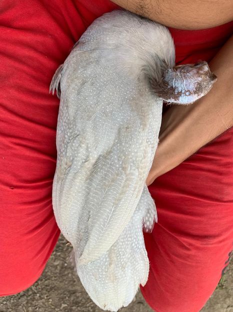 WhatsApp Image 2020-08-17 at 19.23.26 - Bibilici