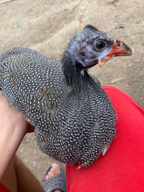 WhatsApp Image 2020-08-17 at 19.09.32 - Bibilici