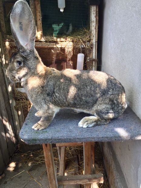 9101BF29-F3BE-4BB4-82A4-62AB4550138F - RO8-28124