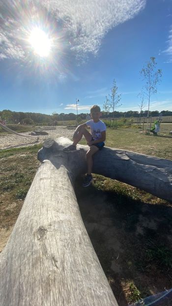 F36CBA1D-0158-4F0D-B528-50EF51CA7641 - Poze Waterlooville 2020 august