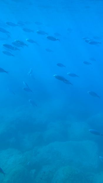 16E2064A-66FD-4C87-95DE-5111D4F1EA11 - Poze Grecia !! 2020