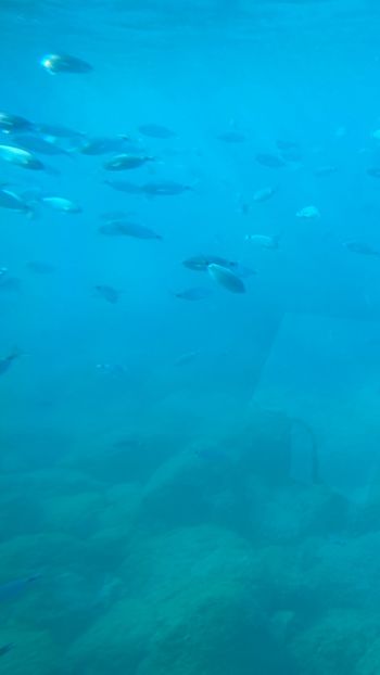 C4378F5C-214F-4029-8BEC-4D48F86C575C - Poze Grecia !! 2020