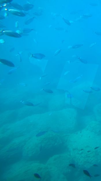 368D470A-64B6-477C-B530-D0ADF6D3E4C7 - Poze Grecia !! 2020