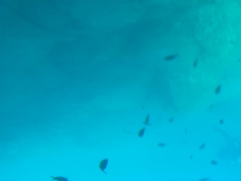 02E42414-FF30-48DA-B0EC-BC624FDAD653 - Poze Grecia !! 2020