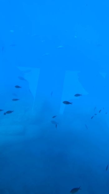 05F2D208-2F02-4603-86F9-0788E6729250 - Grecia 3