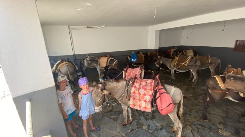 DB458A2E-9AF7-492E-BFDD-69D4B2B26A17 - Grecia 4