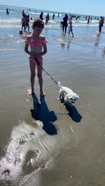 E94BB363-2CF9-497E-8F1F-73DA308AFC7F - La mare cu Ady