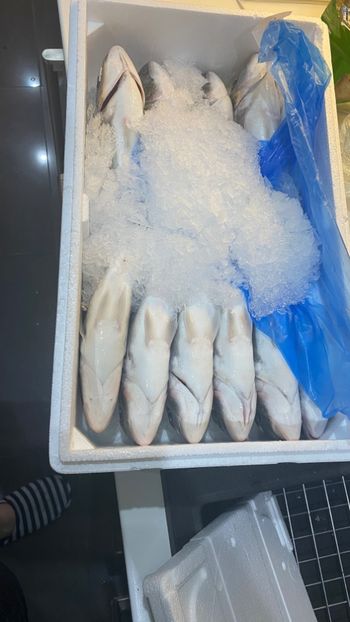 099C952B-8B96-4808-ACE6-93FDD548FF16 - Poze