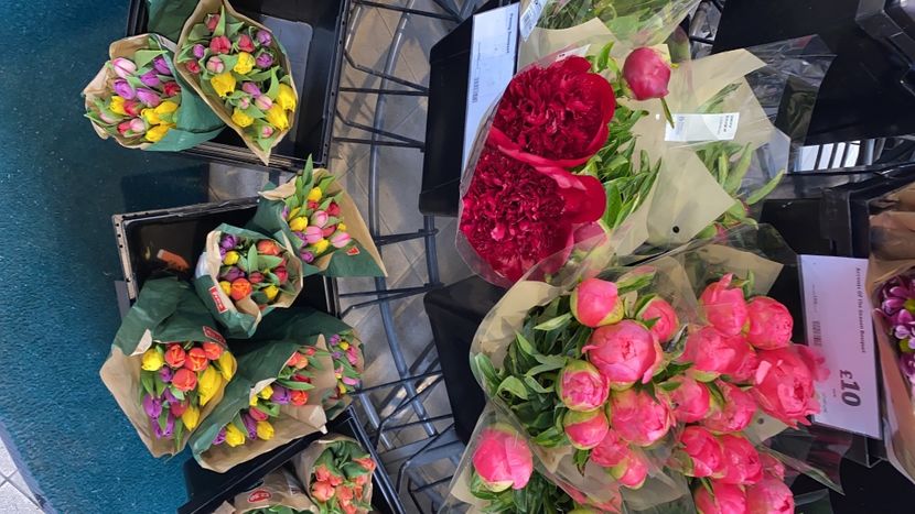 910353D2-AC31-4F22-8376-0BC4811A628E - Poze