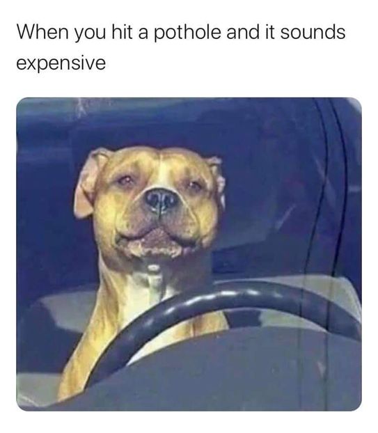  - are there any good ones left