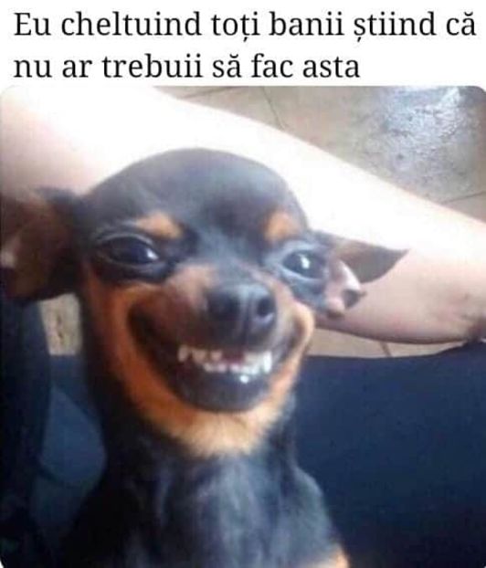  - are there any good ones left