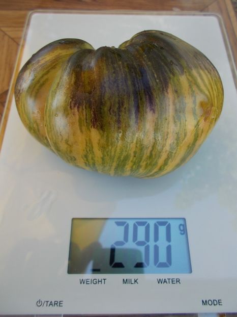  - SEMINTE ROSII - T 514 REBEL STARFIGHTER VT 16