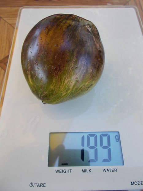  - SEMINTE ROSII - T 514 REBEL STARFIGHTER VT 16