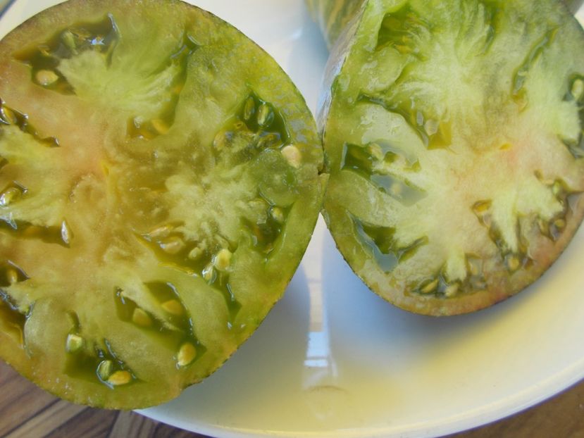  - SEMINTE ROSII - T 514 REBEL STARFIGHTER VT 16