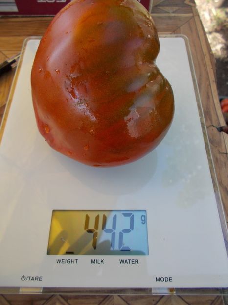  - SEMINTE ROSII - T 478 LINNAEUS HEART