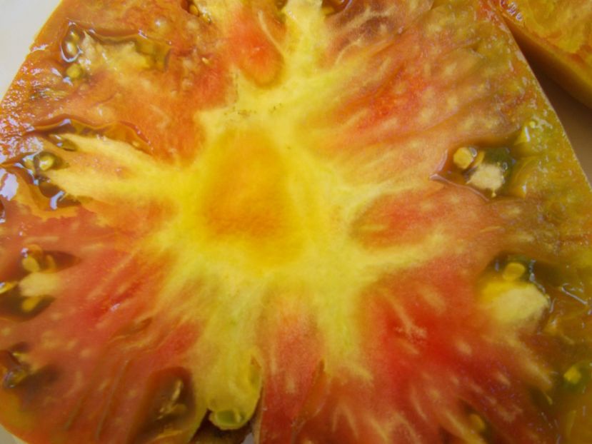  - SEMINTE ROSII - T 627 KRASNAYA MISHEN