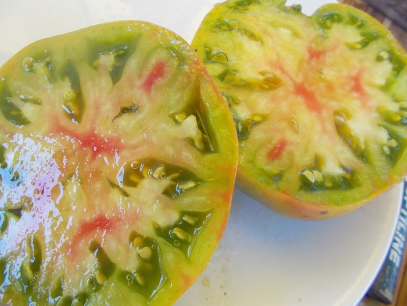  - SEMINTE ROSII - T 627 KRASNAYA MISHEN