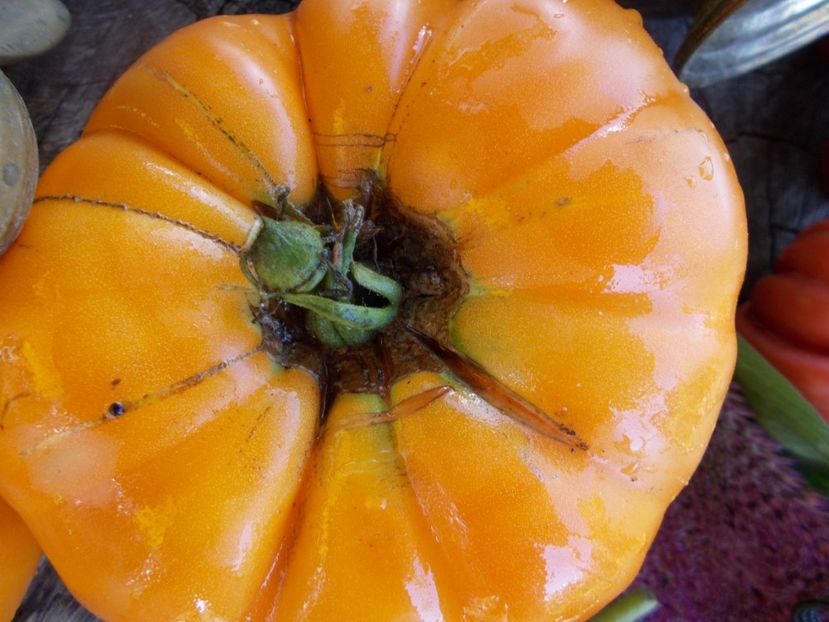  - SEMINTE ROSII - T 583 KELLOGS BREAKFAST