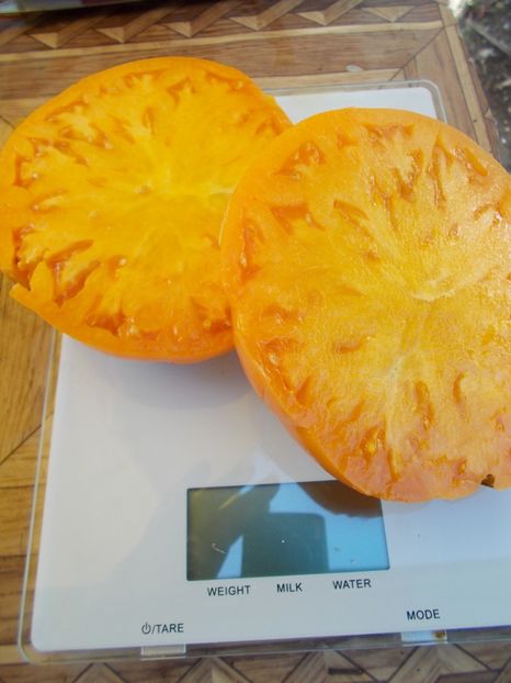  - SEMINTE ROSII - T 583 KELLOGS BREAKFAST