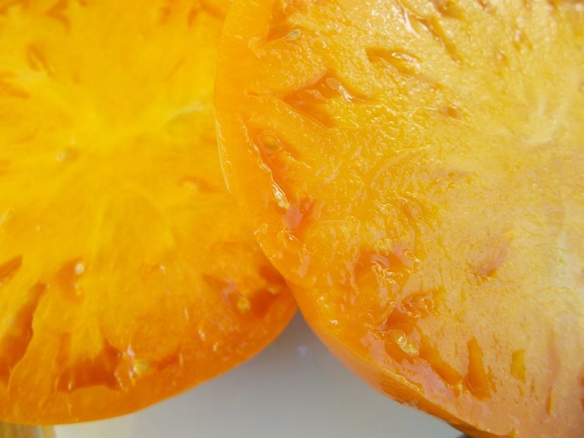  - SEMINTE ROSII - T 583 KELLOGS BREAKFAST