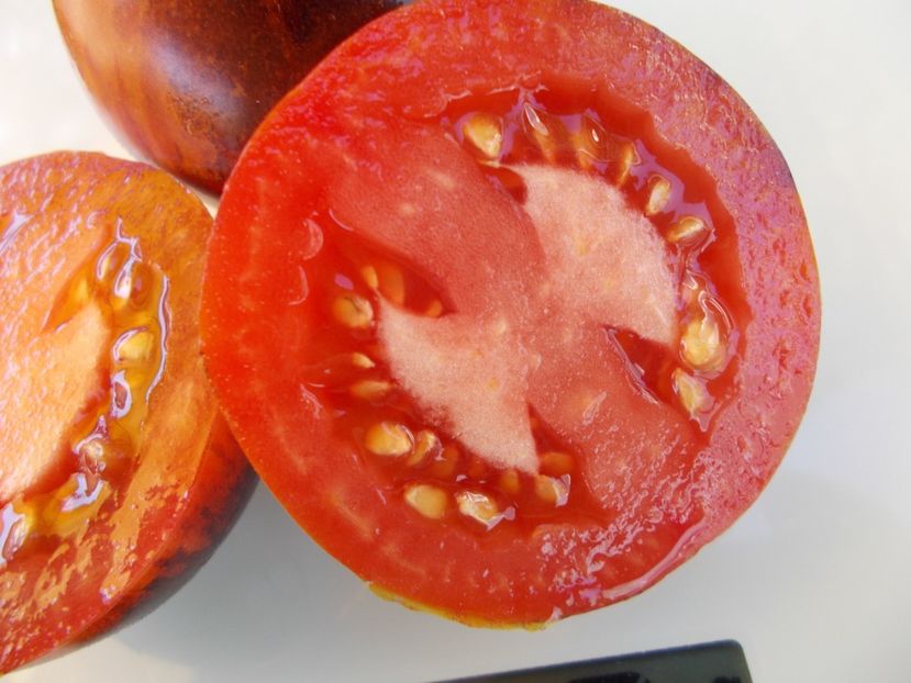  - SEMINTE ROSII - T 548 KALEIDOSCOPIC JEWEL