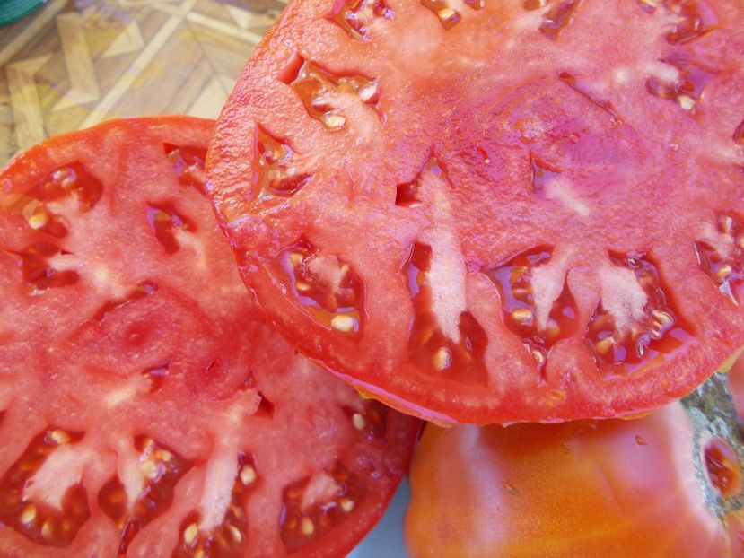  - SEMINTE ROSII - T 557 BASAJAUN