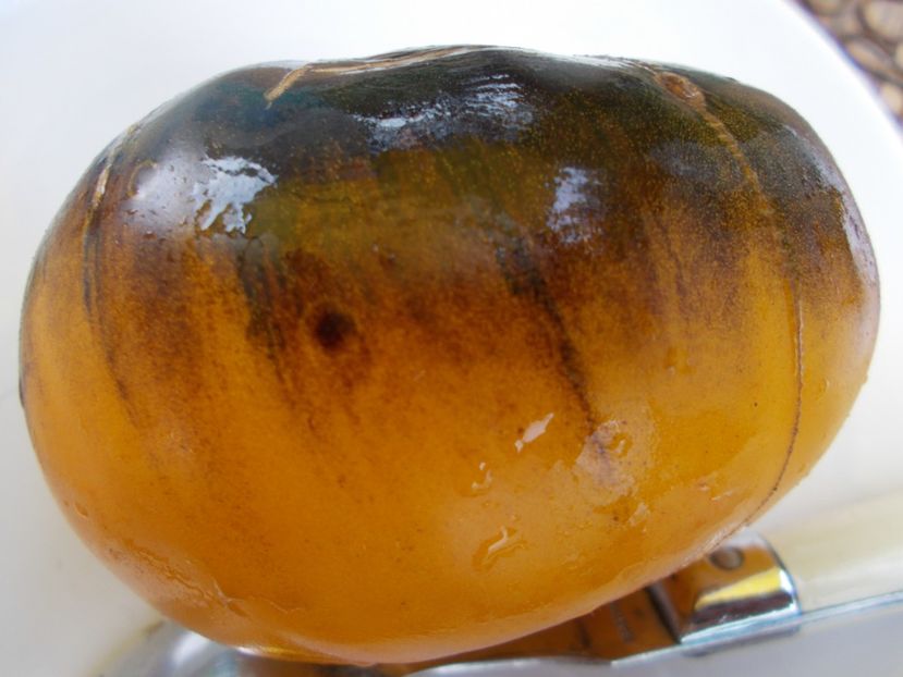  - SEMINTE ROSII - T 545 PURPURA RITS