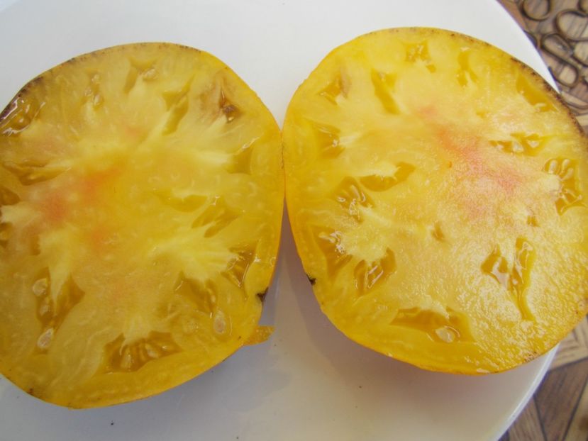  - SEMINTE ROSII - T 545 PURPURA RITS