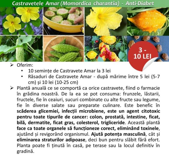 thumbnail - 2020-06-15T194238.932 - A- Date de contact si sa ne cunoastem