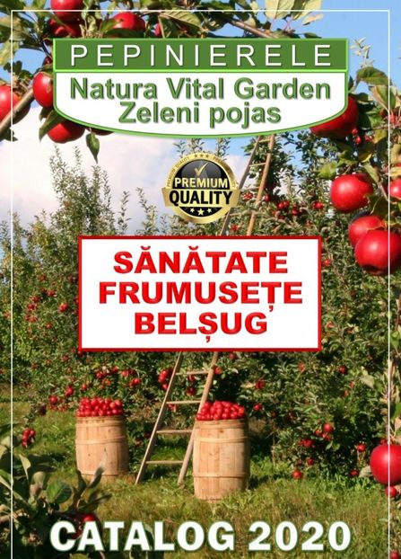 thumbnail - 2020-06-15T192731.933 - A- Date de contact si sa ne cunoastem