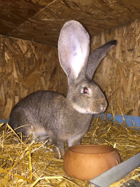 D7D8DEB7-C7BB-4609-995E-2718A41A187E - RO 8-3034