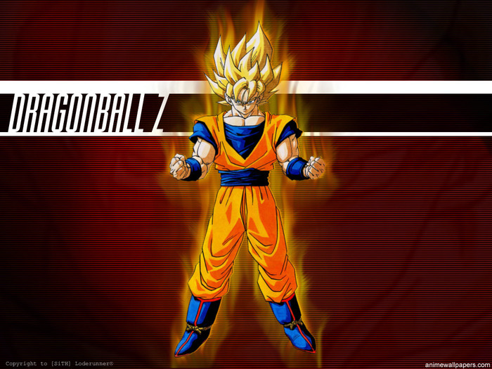 11222143_QEZUELKZH - DRAGON BALL Z