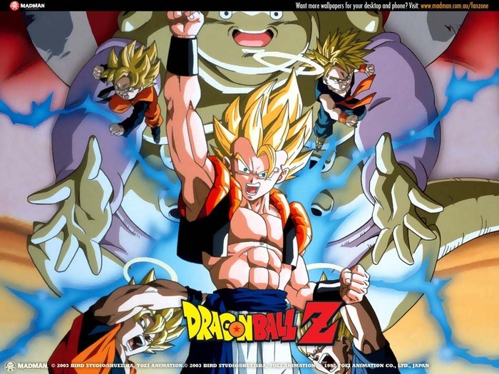 11222177_YHTVRCSIY - DRAGON BALL Z