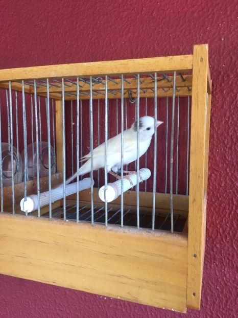 211CC403-09C3-4204-83AA-64370AAF154B - TIMBRADOS 2020