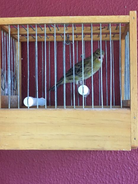 4AD66ACC-D1BF-4669-9253-63D96933DF2B - TIMBRADOS 2020