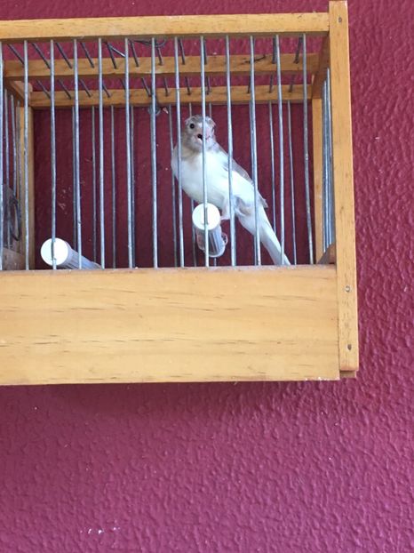 63F8BA2F-5276-43FB-923E-E53E01677CE4 - TIMBRADOS 2020