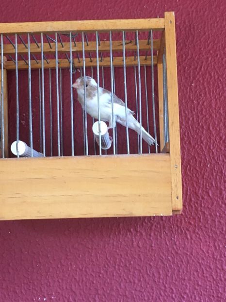 2CA31BB3-DBE7-4EF7-8EBE-60087EB12CA6 - TIMBRADOS 2020