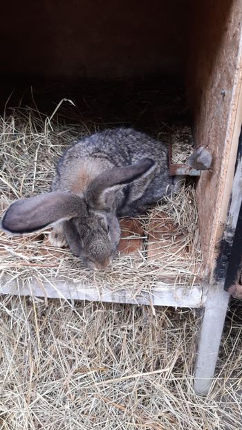 IMG-20200723-WA0008 - 2020 urias german gri