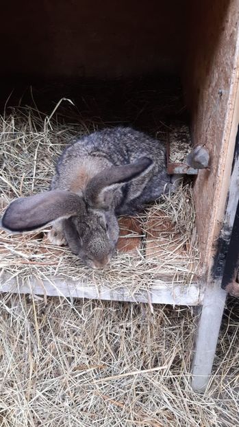 IMG-20200723-WA0009 - 2020 urias german gri