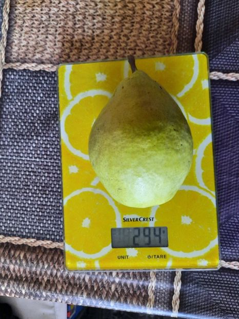 23 august 2020 , coapte mai târziu anul acesta - Belle de Juen Alany