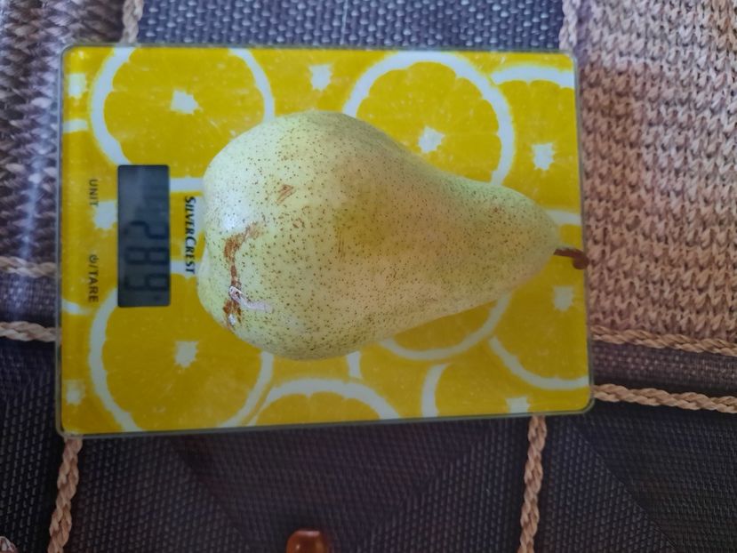 Încă nematurata para 23 august 2020 - Ilonka