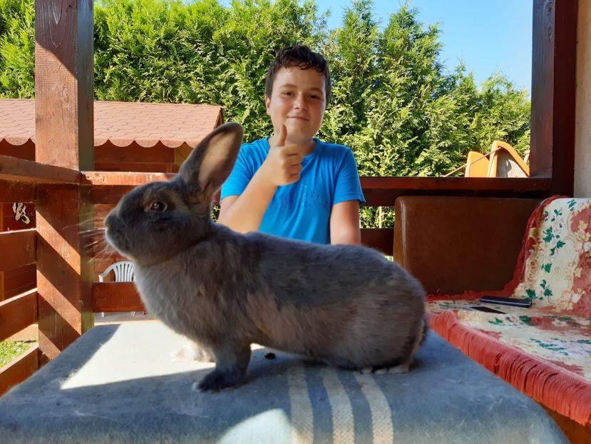 37A2D367-AF26-4F7E-AB1B-46CF86E4327D - New generation 2020