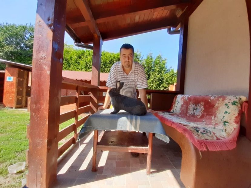 AAACCAA2-26D3-4FF5-BCAE-6E4BE538F500 - New generation 2020