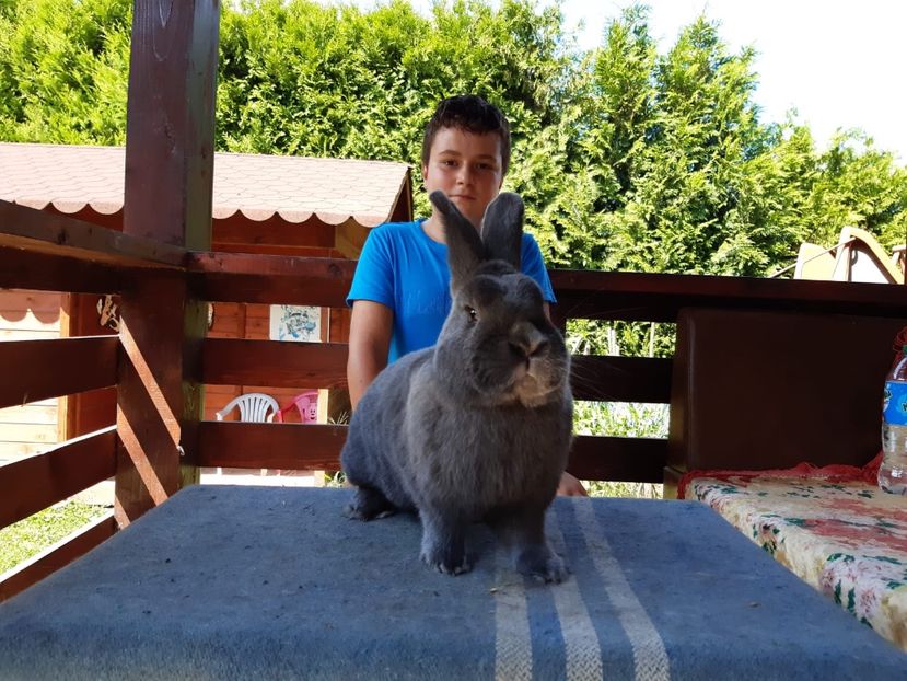 75FEAC51-99A6-4D63-AE98-369B21B9840C - New generation 2020