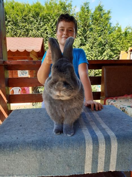 2FC0EB37-7CC2-4204-BAC4-76EEB2F00506 - New generation 2020