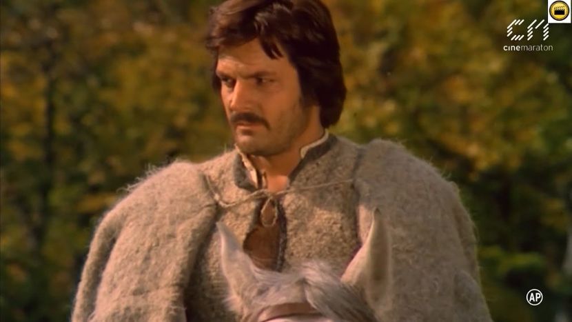 Pintea - Pintea 1976