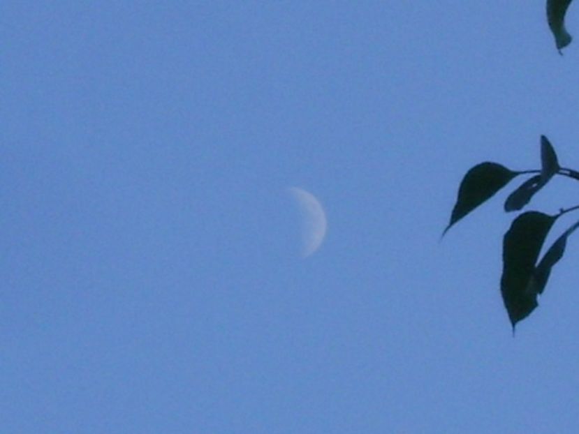 Luna in crestere in Fecioara - Luna - Soarele si norii - 2