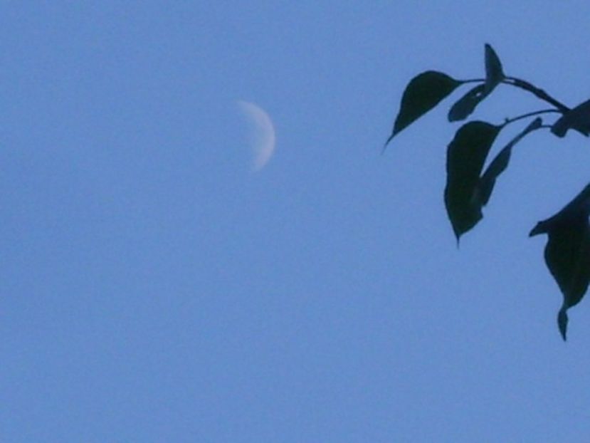Luna in crestere in Fecioara - Luna - Soarele si norii - 2