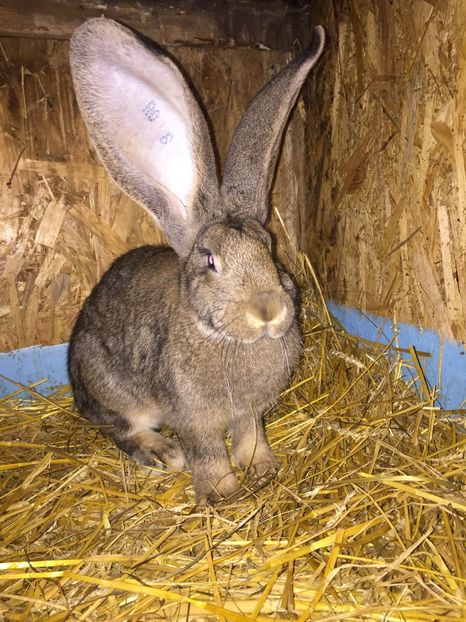 7E844115-9264-4EF8-86DD-112FADD8D9A4 - RO 8-3033