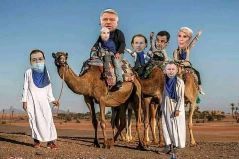  - Poze haioase pamflet